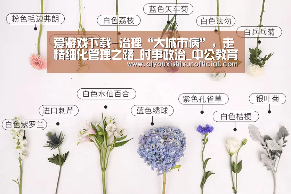 爱游戏下载-治理“大城市病”,走精细化管理之路_时事政治_中公教育网(图1) 爱游戏视讯