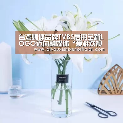 台湾媒体品牌TVBS启用全新LOGO迈向融媒体“爱游戏视讯”(图1) 爱游戏赛事